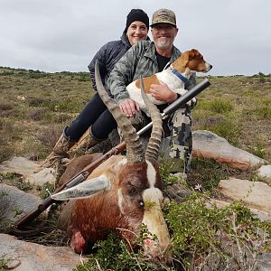 Blesbok Hunt South Africa