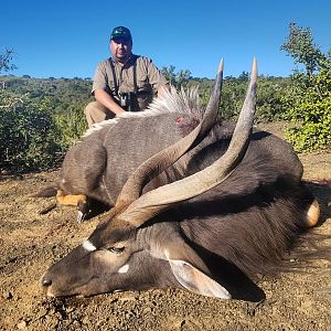 South Africa Hunt Nyala