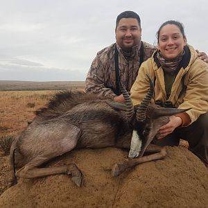 South Africa Hunting Black Springbok