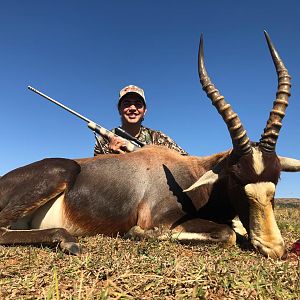 South Africa Hunting Blesbok