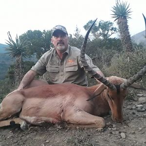 Impala Hunt South Africa