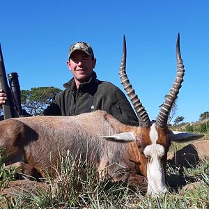 South Africa Hunting Blesbok