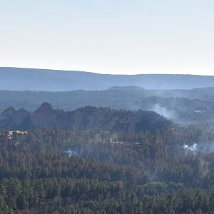 Forest fires in Ponderosa forest Utah USA