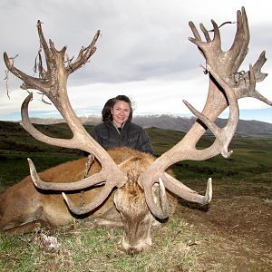 Red Stag Hunting New Zealand