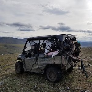 Alaska USA Hunt Caribou