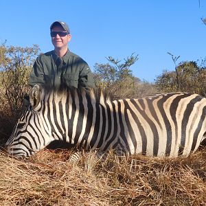 South Africa Hunting Burchell's Plain Zebra