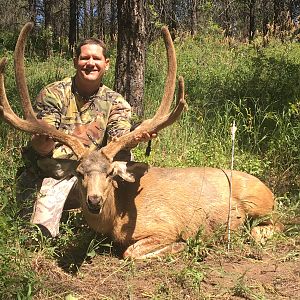 Hunting Mule Deer in Utah USA