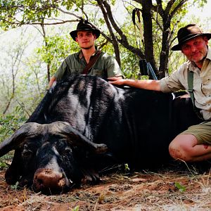 Namibia Hunting Cape Buffalo