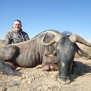 South Africa Hunting Blue Wildebeest