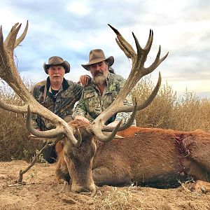 Red Stag Hunt Argentina