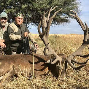 Hunting Red Stag in Argentina