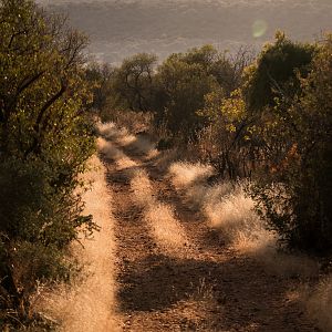 South Africa Hunt