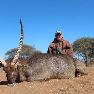 Waterbuck Hunt South Africa