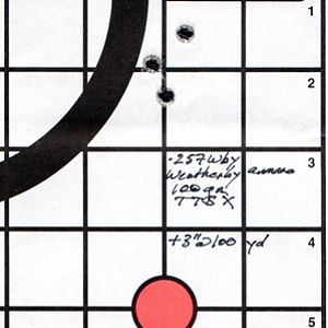 .257 Wby Range Shots