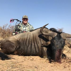 South Africa Bow Hunt Blue Wildebeest