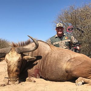Golden Wildebeest Bow Hunt South Africa