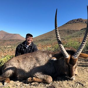 Waterbuck Hunt South Africa