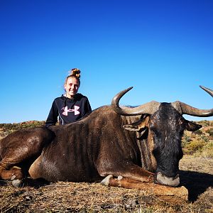 Blue Wildebeest Hunting South Africa