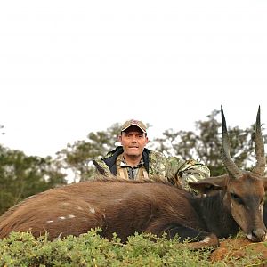 Hunt Bushbuck in South Africa