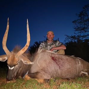 Hunt Nyala in South Africa