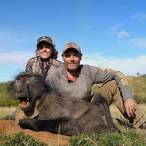 South Africa Hunt Baboon