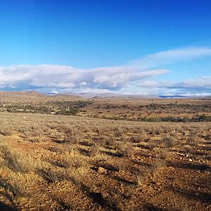 South Africa Hunting Area