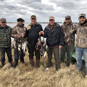 Wingshooting Ducks in Argentina