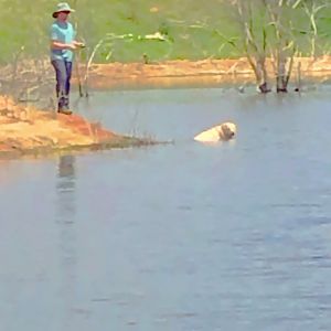 Fishing in Texas USA