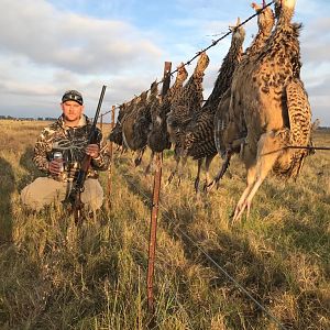 Argentina Hunt Partridge