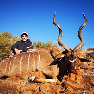 Kudu Hunting South Africa