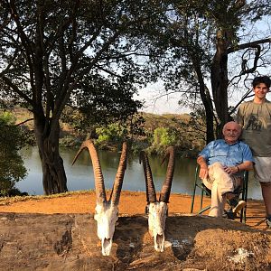 Sable Hunting Zambia