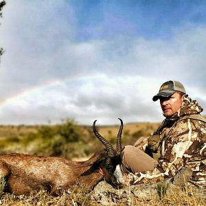 Black Springbok Bow Hunt South Africa