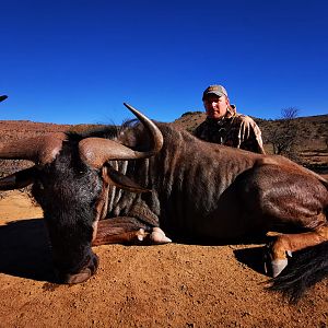 Bow Hunting Blue Wildebeest in South Africa