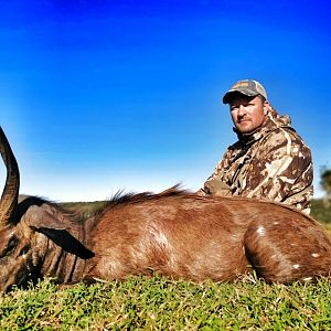 South Africa Bow Hunt Bushbuck