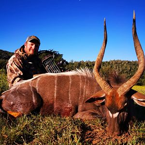 Bow Hunting Nyala in South Africa