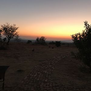 View from Lodge early morning