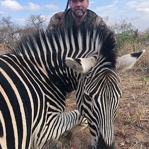 Zimbabwe Hunting Burchell's Plain Zebra