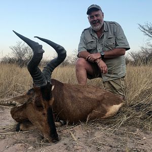 Hunt Red Hartebeest in South Africa