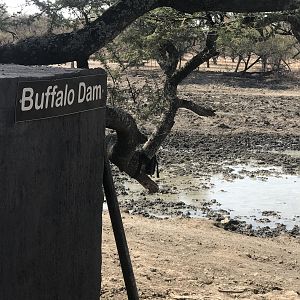 South Africa Bow Hunting