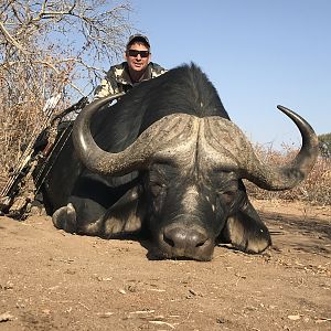 South Africa Bow Hunt Cape Buffalo