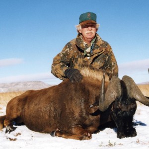 Black Wildebeest taken in the snow in July South Africa