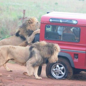 So who's going to volunteer to change the tyre?