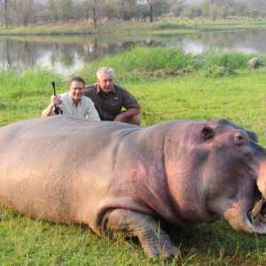 Hunting Hippo in Mozambique
