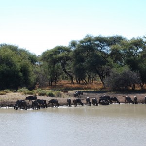 Ozondjahe Hunting Safaris, Namibia