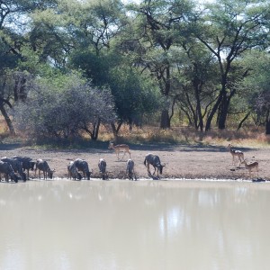 Ozondjahe Hunting Safaris, Namibia