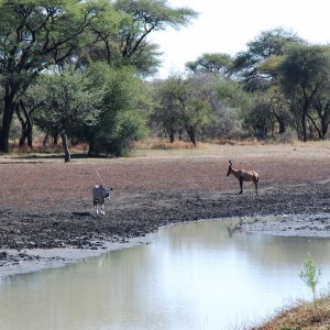 Ozondjahe Hunting Safaris, Namibia