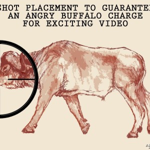 SHOT PLACEMENT TO GUARANTEE AN ANGRY BUFFALO CHARGE FOR EXCITING VIDEO