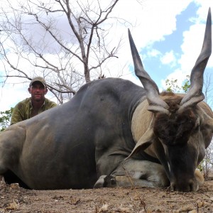 38'' east african Eland