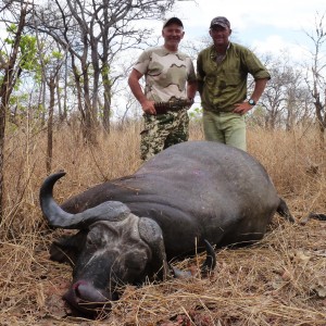 Old bull hunted in Tanzania