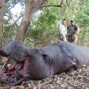 Hunting Hippo in Tanzania